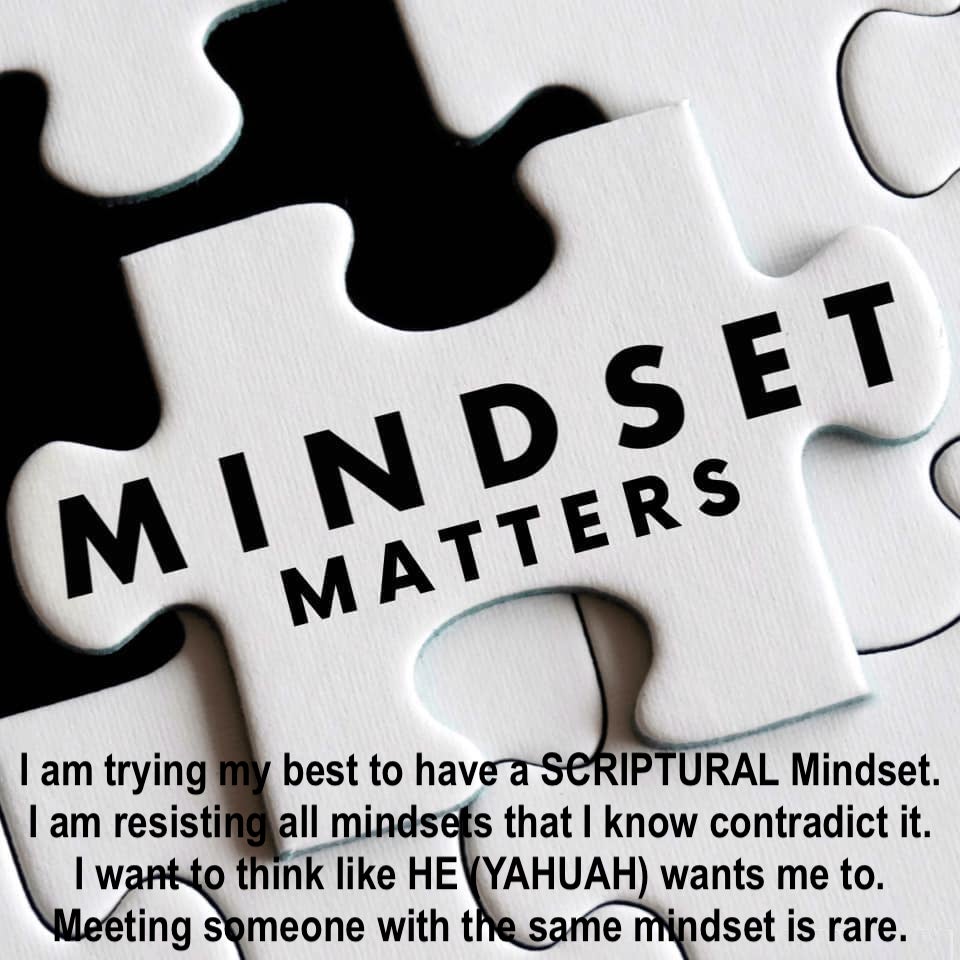 Mindset Matters | Truther's Journal