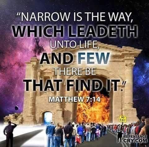 Strive To Enter the Narrow Gate | Truther's Journal